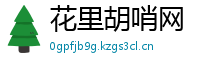 花里胡哨网